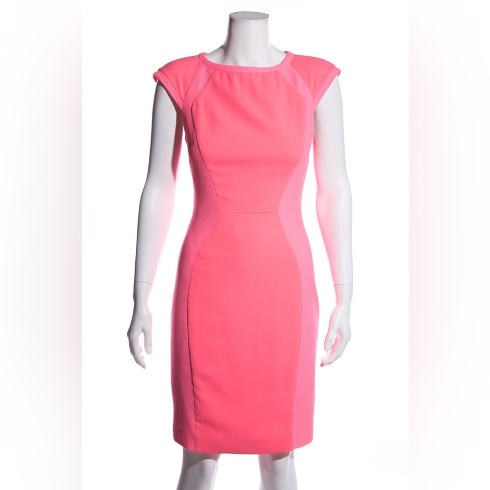 Ted Baker Pink Dress